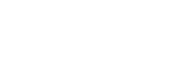 DigiGini